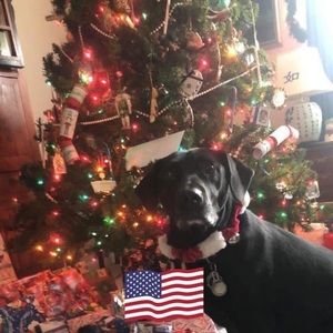 Meet your Posher, Cindi